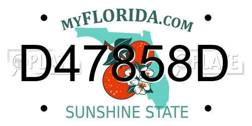 D47858D Florida License Plate