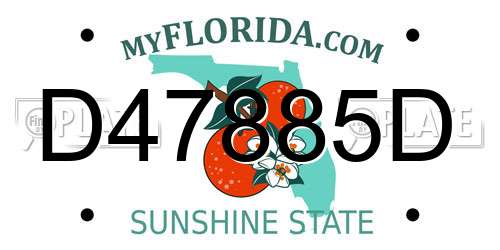 D47885D Florida License Plate