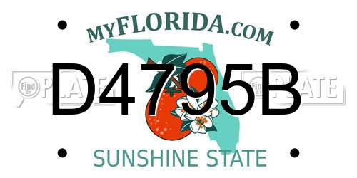 D4795B Florida License Plate