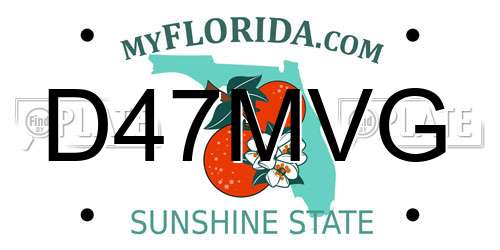 D47MVG Florida License Plate