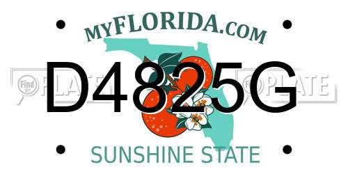 D4825G Florida License Plate