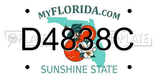 D4838C Florida License Plate