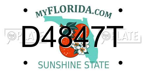 D4847T Florida License Plate