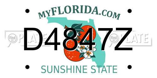 D4847Z Florida License Plate