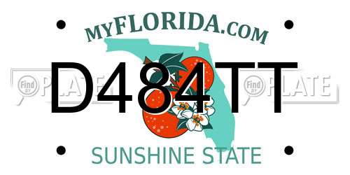 D484TT Florida License Plate