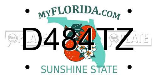 D484TZ Florida License Plate