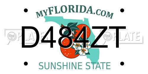 D484ZT Florida License Plate