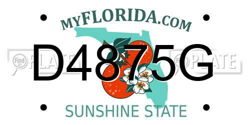 D4875G Florida License Plate
