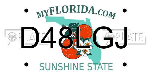 D48LGJ Florida License Plate