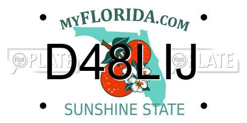 D48LIJ Florida License Plate
