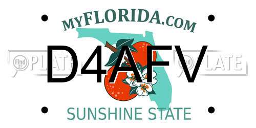 D4AFV Florida License Plate
