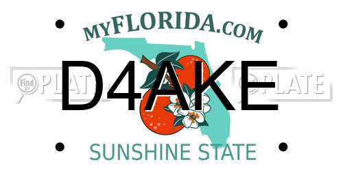 D4AKE Florida License Plate