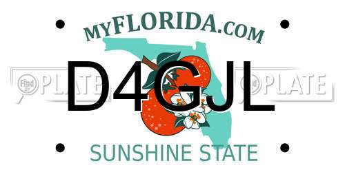 D4GJL Florida License Plate