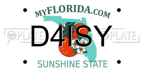 D4ISY Florida License Plate