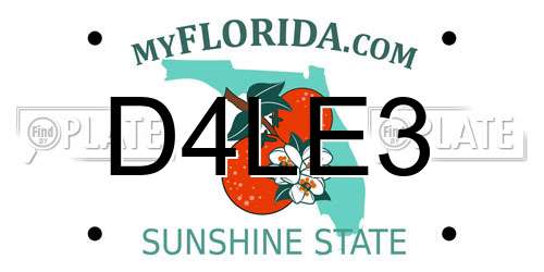 D4LE3 Florida License Plate