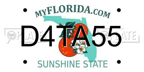D4TA55 Florida License Plate