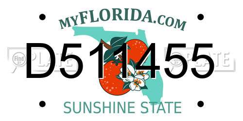 D511455 Florida License Plate
