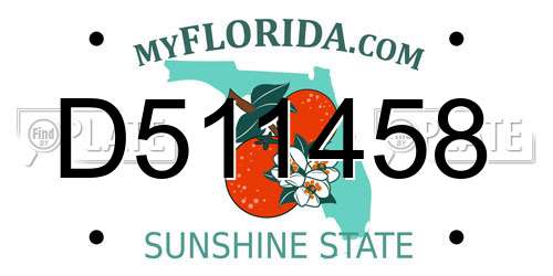 D511458 Florida License Plate