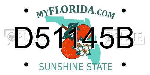 D51145B Florida License Plate