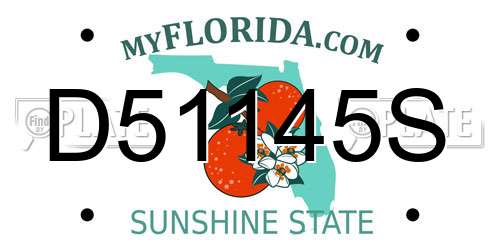 D51145S Florida License Plate