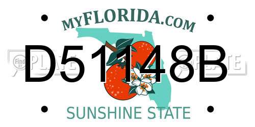 D51148B Florida License Plate