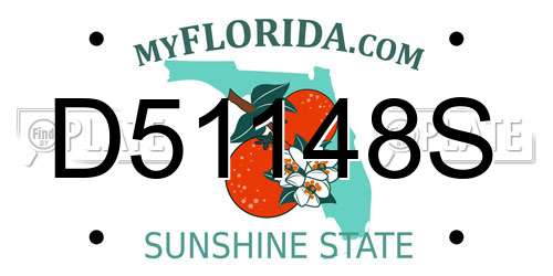 D51148S Florida License Plate