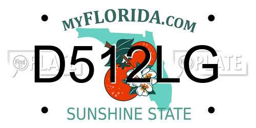 D512LG Florida License Plate