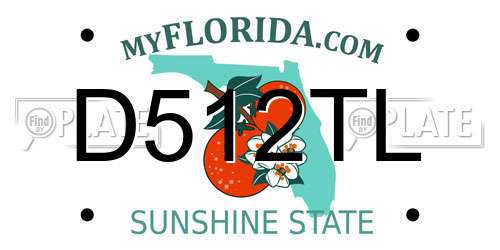 D512TL Florida License Plate