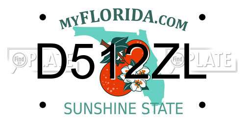 D512ZL Florida License Plate