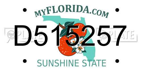 D515257 Florida License Plate