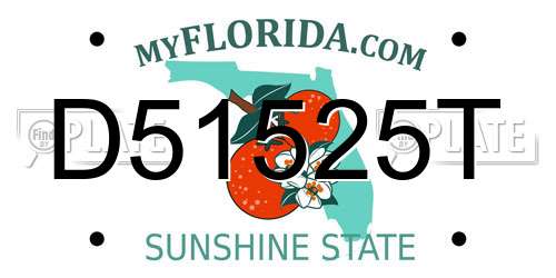 D51525T Florida License Plate