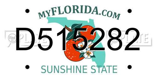 D515282 Florida License Plate