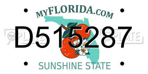 D515287 Florida License Plate