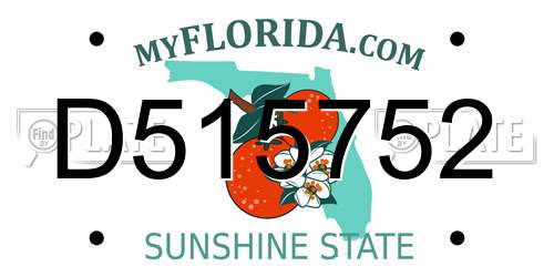 D515752 Florida License Plate