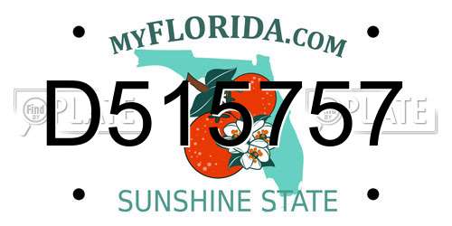 D515757 Florida License Plate
