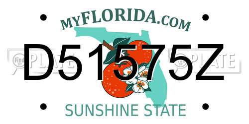 D51575Z Florida License Plate