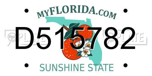 D515782 Florida License Plate