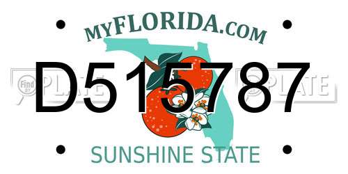 D515787 Florida License Plate
