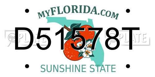 D51578T Florida License Plate