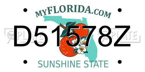 D51578Z Florida License Plate