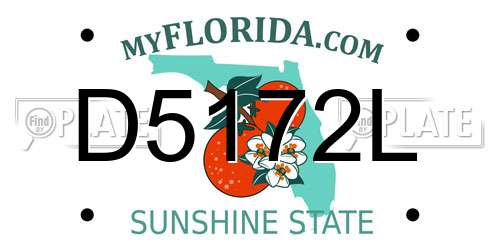 D5172L Florida License Plate