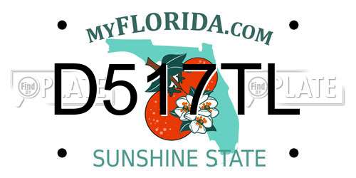 D517TL Florida License Plate