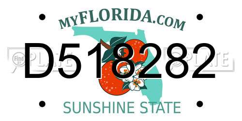 D518282 Florida License Plate