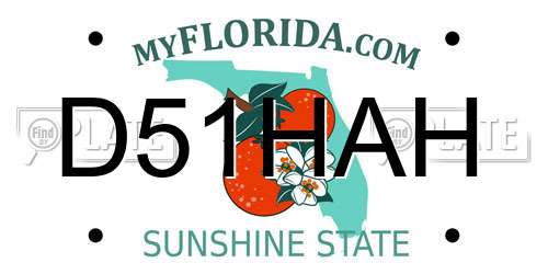 D51HAH Florida License Plate