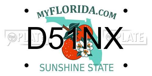 D51NX Florida License Plate