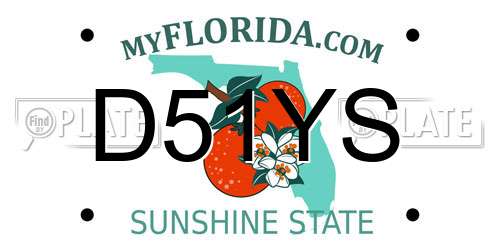 D51YS Florida License Plate