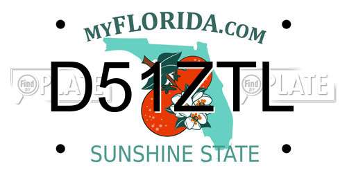 D51ZTL Florida License Plate