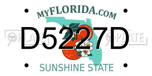 D5227D Florida License Plate