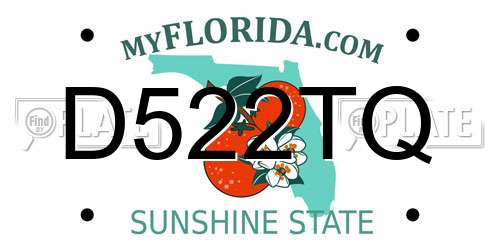 D522TQ Florida License Plate