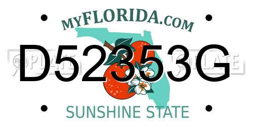 D52353G Florida License Plate
